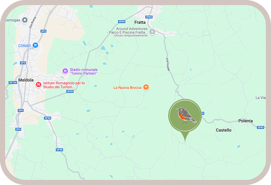 Glamping Pettirosso Bertinoro