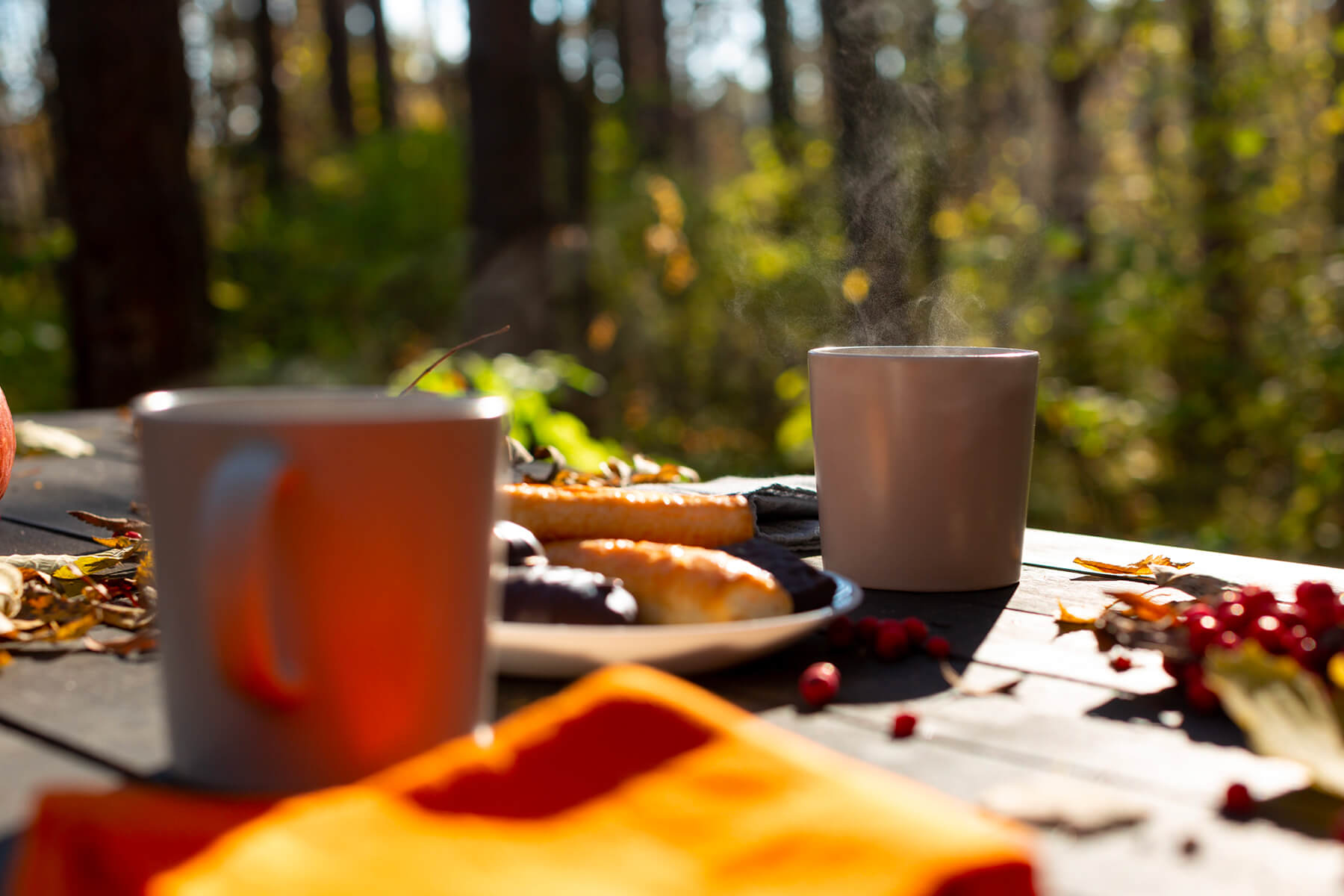 Glamping Bertinoro