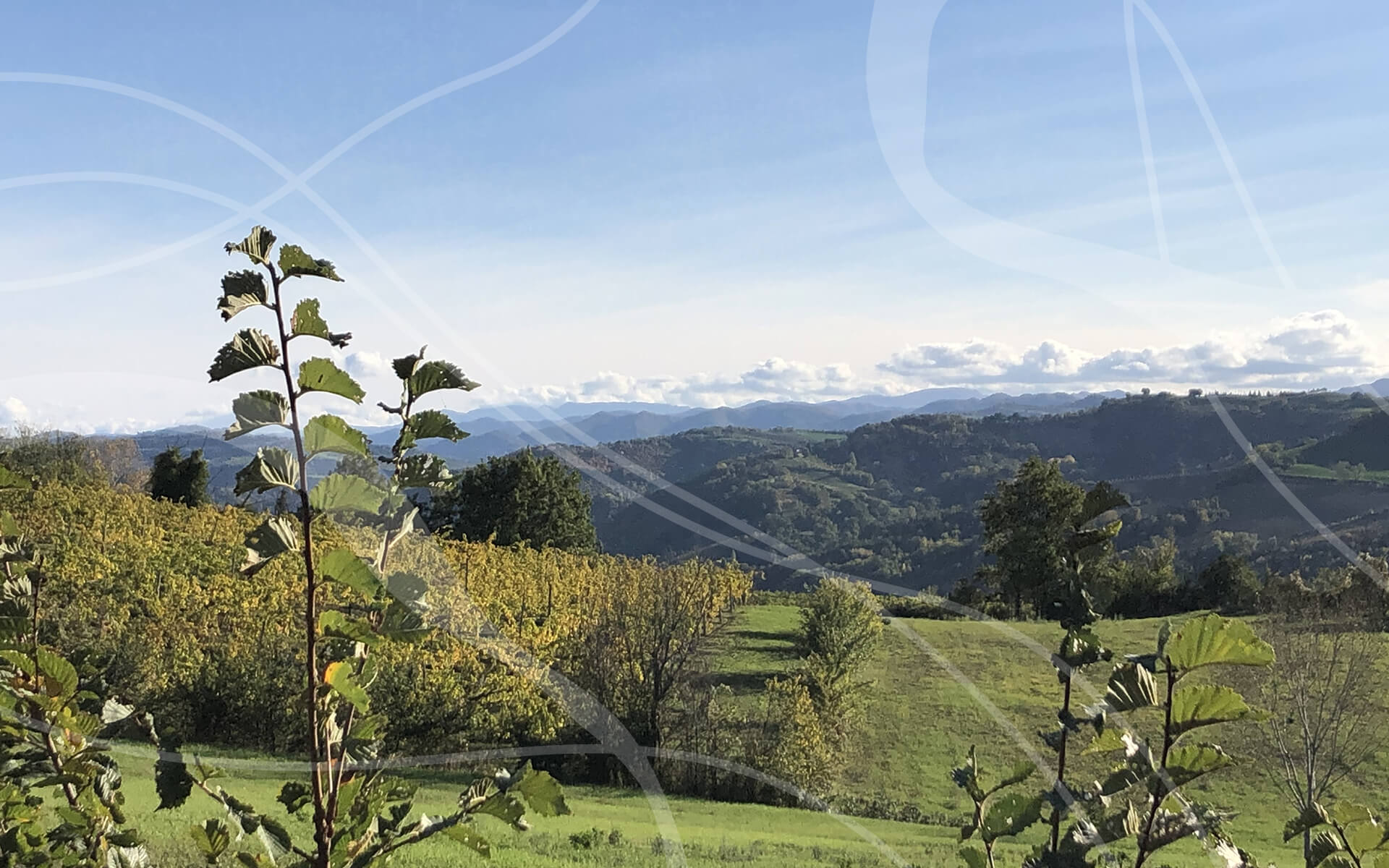 Glamping Pettirosso Bertinoro