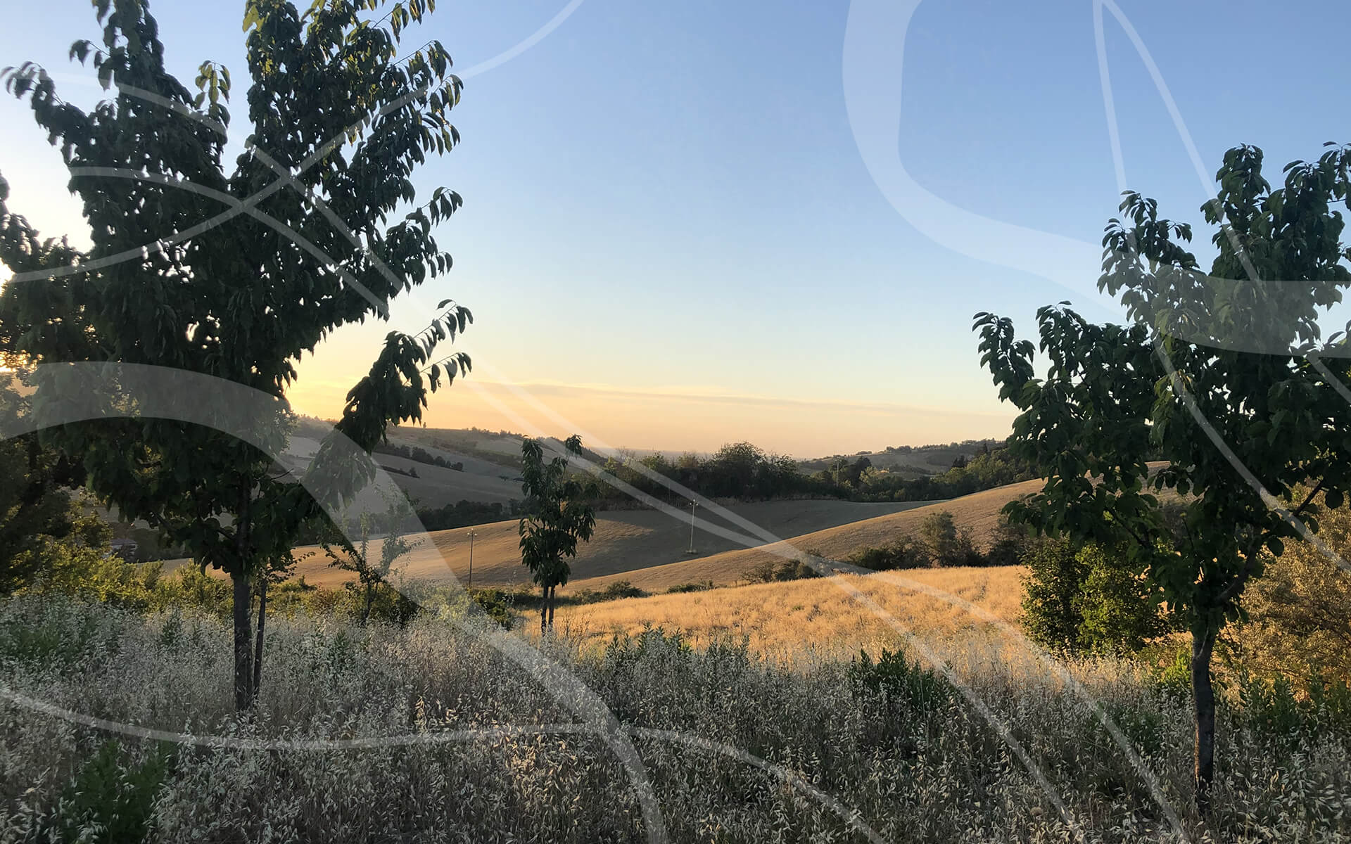 Glamping Pettirosso Bertinoro