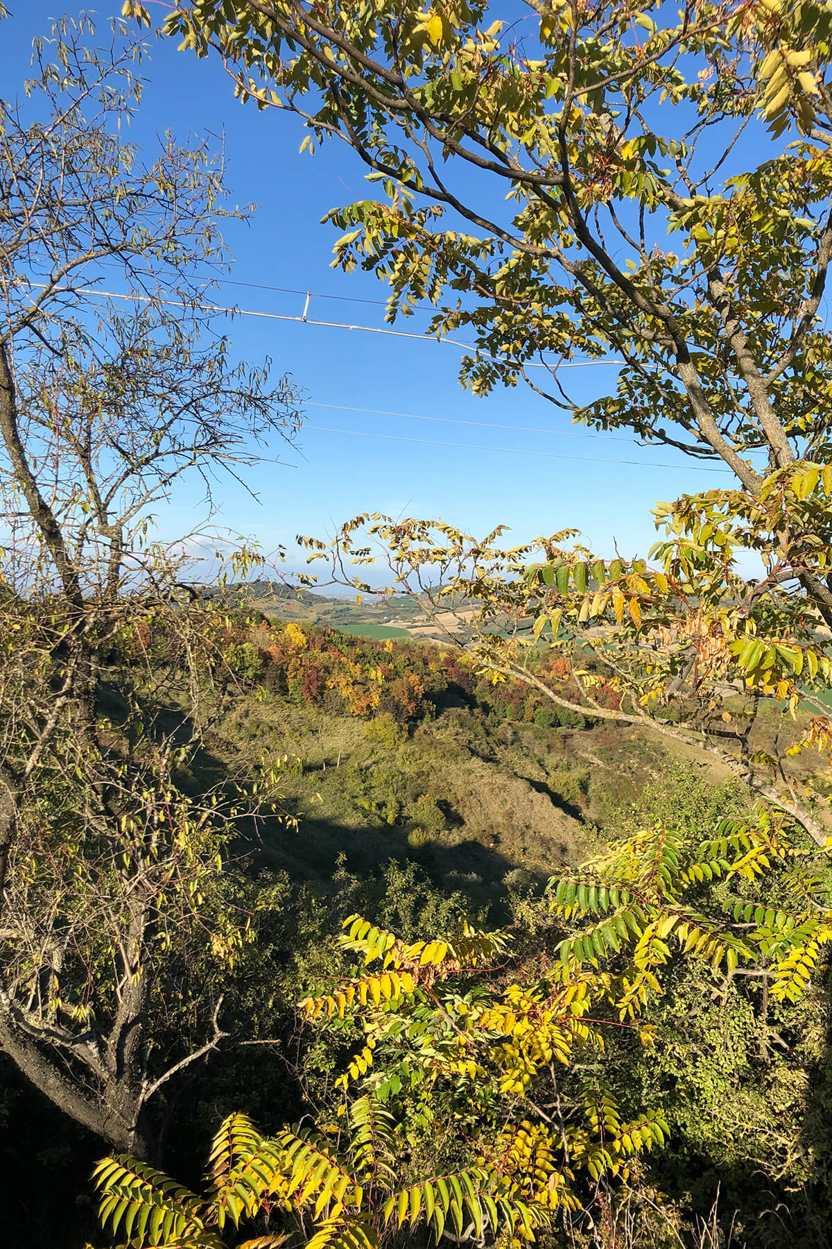 Glamping Pettirosso Bertinoro