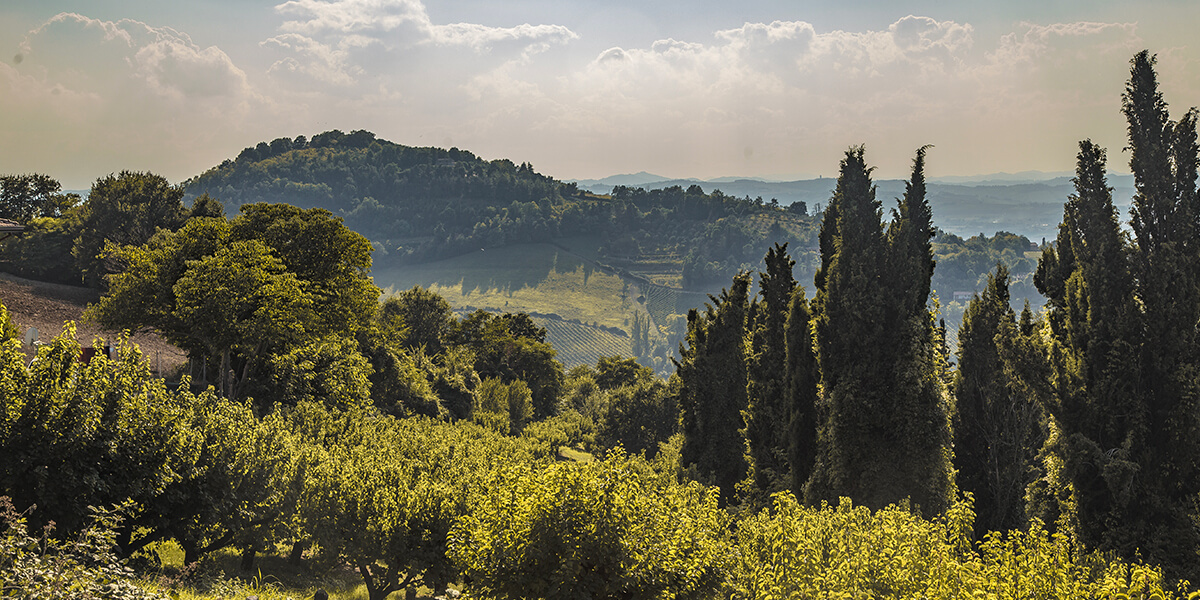 Glamping Pettirosso Bertinoro