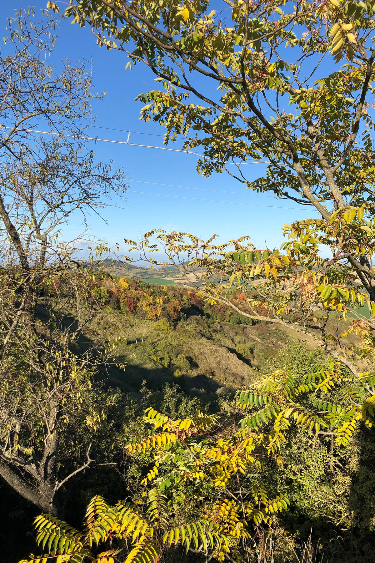 Glamping Pettirosso Bertinoro
