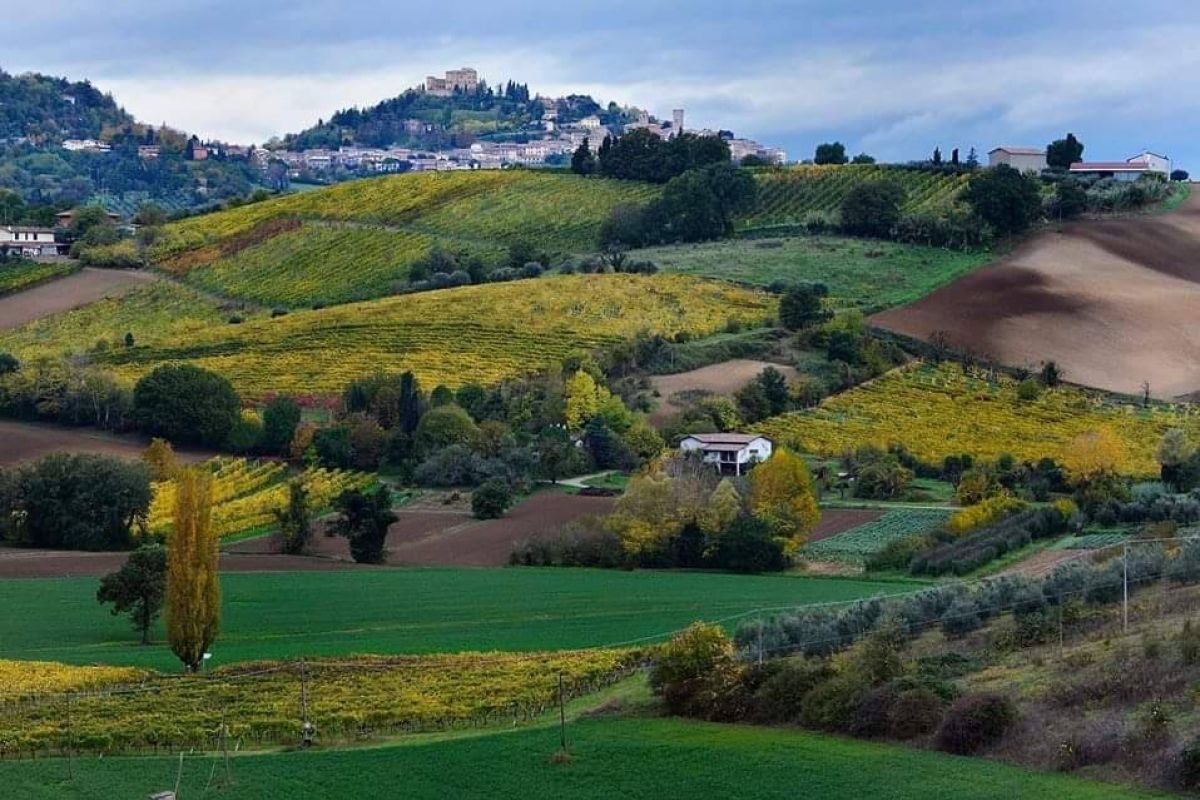 Un assaggio di Romagna